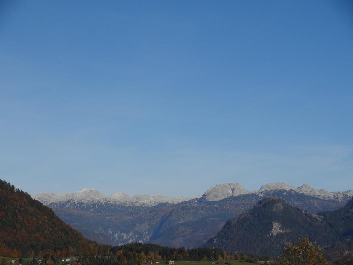 Stangl - Hof Daire Bad Aussee Dış mekan fotoğraf