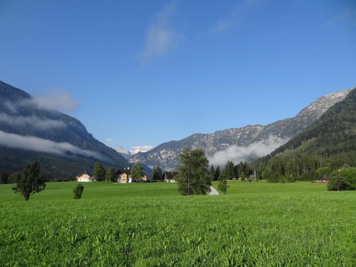 Stangl - Hof Daire Bad Aussee Dış mekan fotoğraf