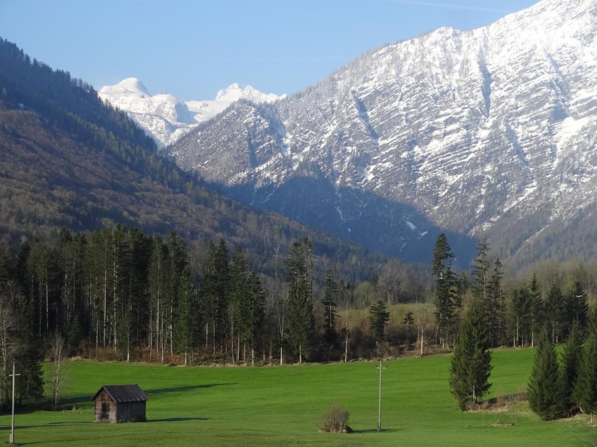 Stangl - Hof Daire Bad Aussee Dış mekan fotoğraf