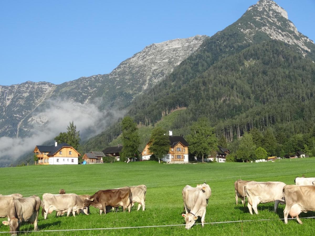 Stangl - Hof Daire Bad Aussee Dış mekan fotoğraf